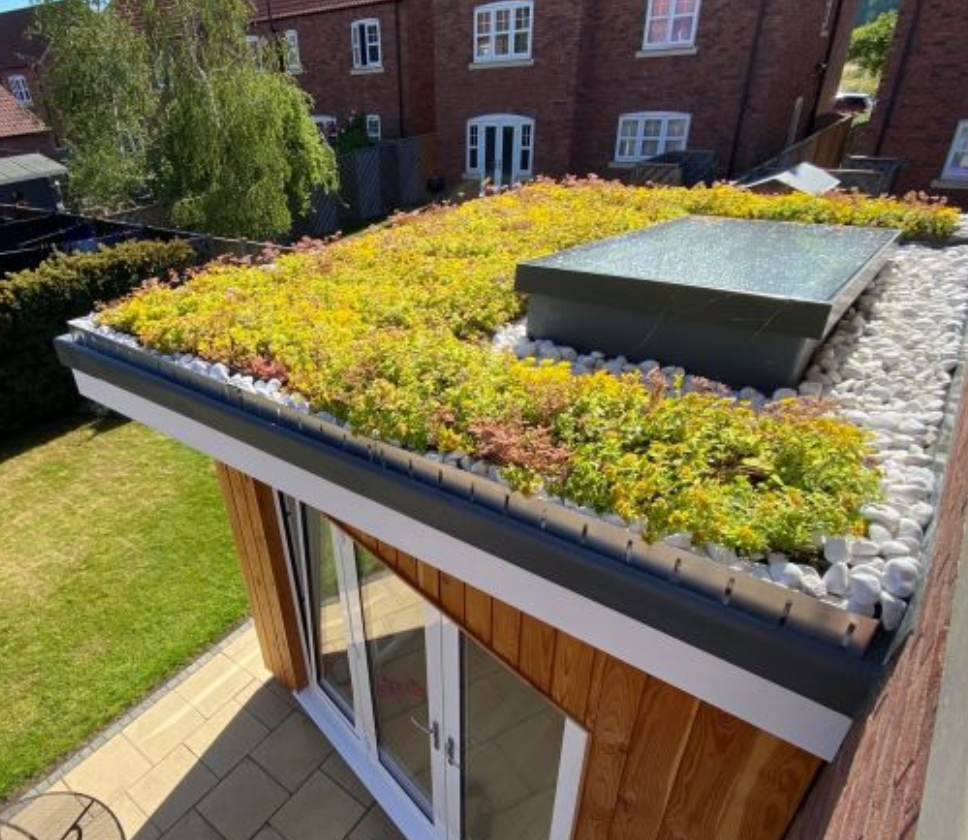 Sedum Rollout Green Roof 40m² Kit | The Roof Shop